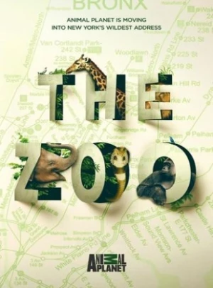  The Zoo - Saison 5 affiche 