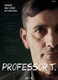  Professor T - Saison 1 affiche 