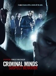  Esprits criminels : Unité parallèle - Saison 1 affiche 