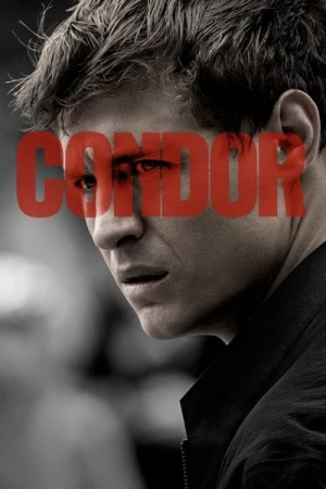  Condor - Saison 1 affiche 