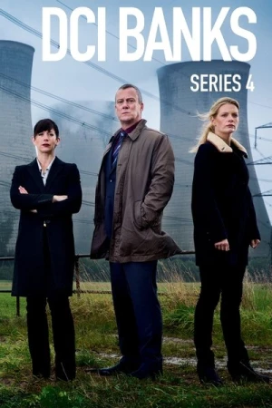  DCI Banks  - Saison 4 affiche 