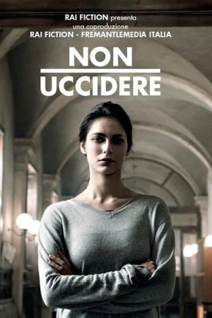 Squadra Criminale - Saison 2 affiche 