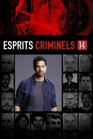  Esprits criminels - Saison 14 affiche 