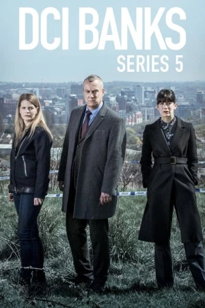 DCI Banks - Saison 5 affiche 
